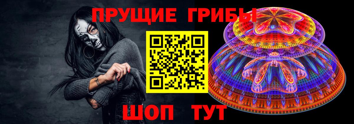 Каменск-Шахтинский  Псилоцибиновые грибы Psilocybine cubensis  Вход с VPN 